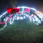 Fotografija 44