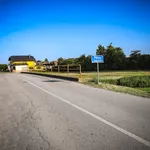 Fotografija 33