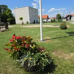 Fotografija 14