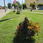 Fotografija 13