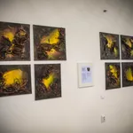 Fotografija 20
